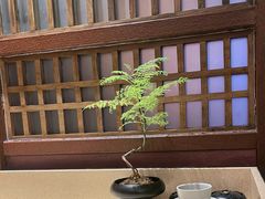 -北方家宴(番禺永旺店)