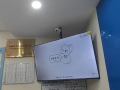 -全心全意连锁动物医院·微创中心·内科急重症·心脏专科(丰管路店)