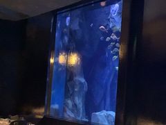 -渔火·特色餐厅(佘山世茂洲际酒店)