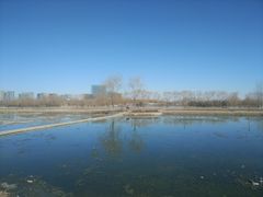 -大兴滨河森林公园