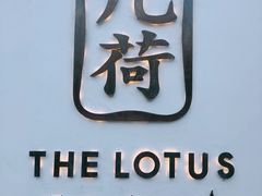 -几荷·恰似故人来(秀水广场店)