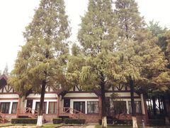 -太阳岛度假酒店