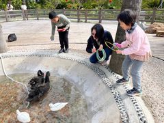 -珠海海泉湾神秘岛亲子乐园