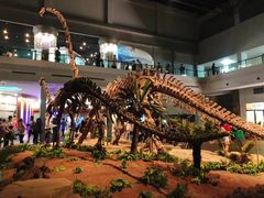-自贡恐龙博物馆