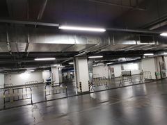 -苗氏卷子鸡(张掖金鸿大厦店)