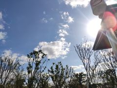 -上海海事大学(临港校区)