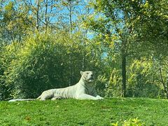 -北京野生动物园