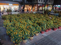 -沙湾姜埋奶(兴新包店)