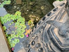 -都氏家DUSJOY(翡翠城店)