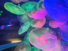 -太平洋海底世界