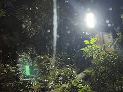 -满記土窑烧鷄波浪山莊