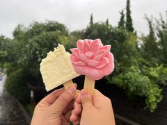 -蓬莱阁景区