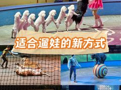 -上海马戏城