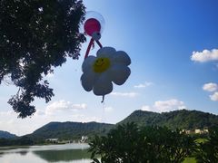 -风云岭森林公园