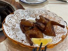 -一煲鸽