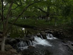 -白鹭洲公园