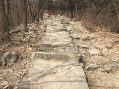 -北京鹫峰国家森林公园