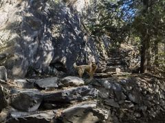 -北京鹫峰国家森林公园