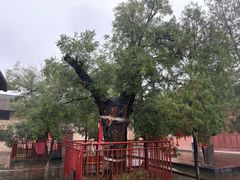 -白台寺