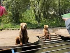 -贵州森林野生动物园