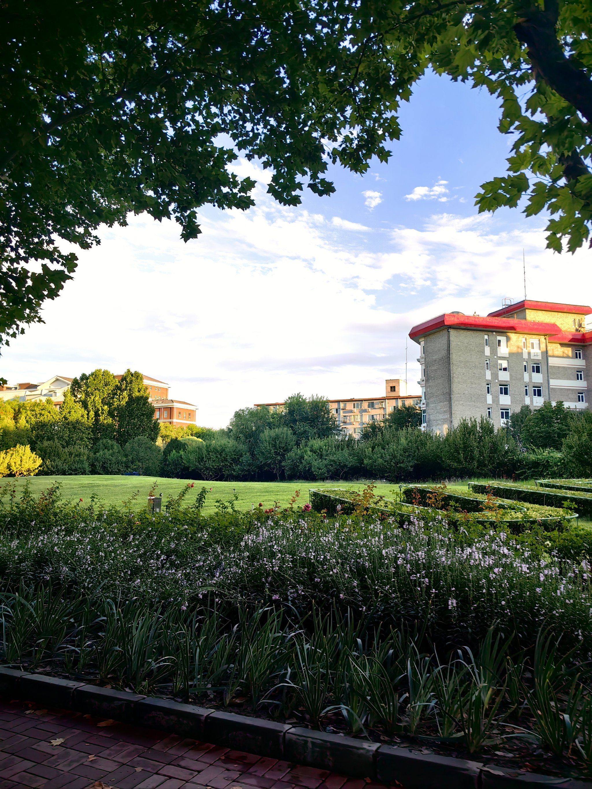 校园里的风景 享受羽毛球的乐趣