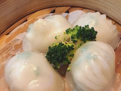 广雅虾饺皇-广雅茶楼(柳州一店)