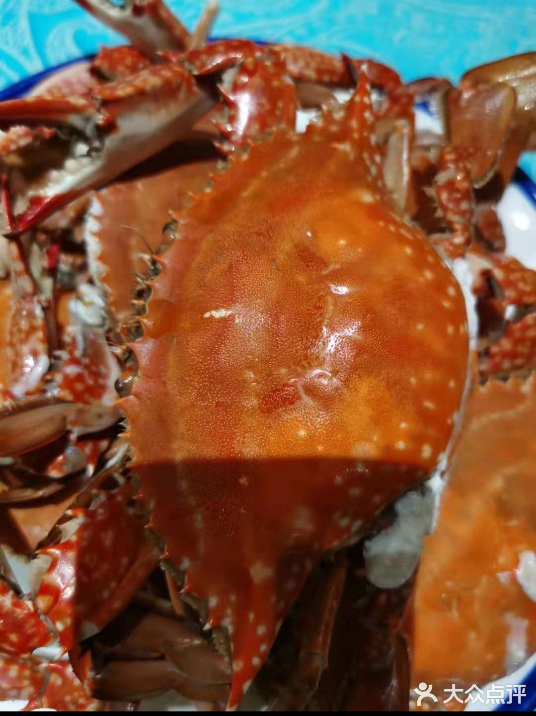 梭子蟹、皮皮虾、海螺、帝王蟹个个鲜活