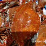 梭子蟹、皮皮虾、海螺、帝王蟹个个鲜活