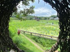 -红山村