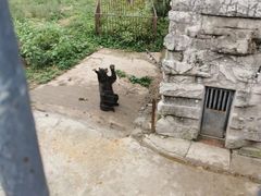 -哈尔滨北方森林动物园