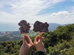 -亚龙湾热带天堂森林公园