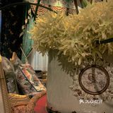 美饰美家🧚‍♀️｜好窗帘因垂而美‼️
