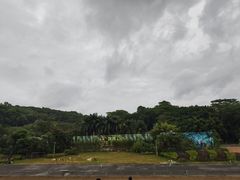-深圳野生动物园