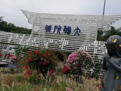 -莲花山公园
