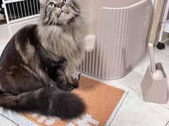 -成都世纪城新国际会展中心