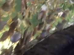 -多彩贵州城极地海洋世界