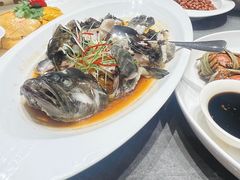 -老绍兴养和饭店(向阳不夜城店)