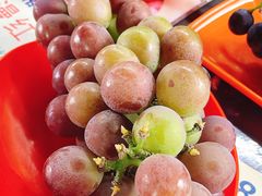 -马陆小张葡萄园农家乐