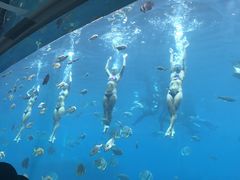 -瑞德姆美人鱼海底演艺主题餐厅(亚龙湾店)