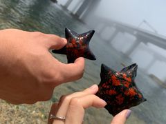 -星海湾跨海大桥