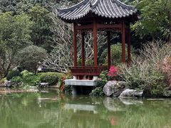 -云溪植物园