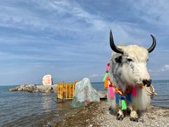 -青海湖国家重点风景名胜区