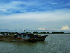 -大湾区中央湿地公园-十九涌