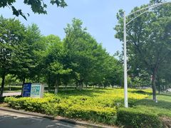 -南京奥林匹克体育中心-体育馆