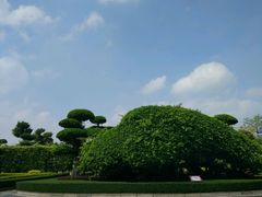 -南宁南湖公园