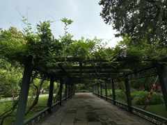 -北京市劳动人民文化宫(太庙)