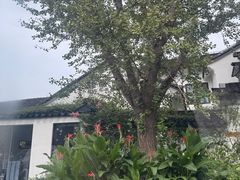 -苏州吴中太湖旅游区