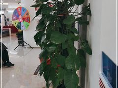 -浦发银行(大连中山广场支行)