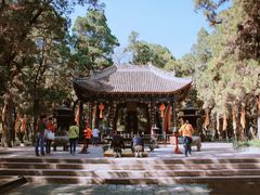 -黄帝陵