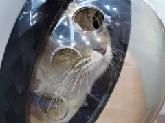 -联合动物医院(光谷诊疗中心)